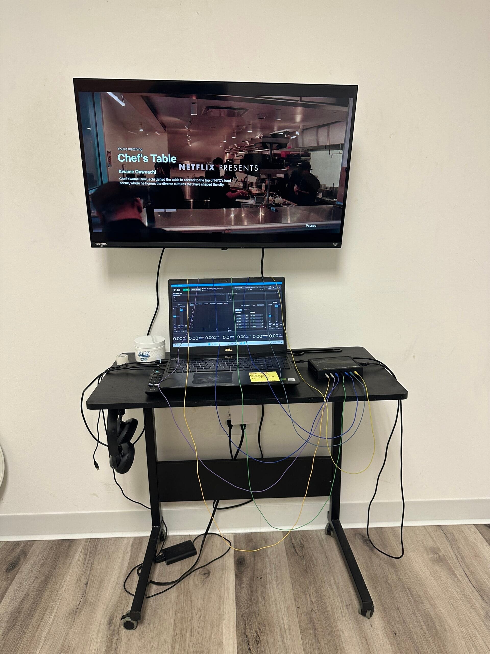 Neurofeedback Therapy Tampa Florida