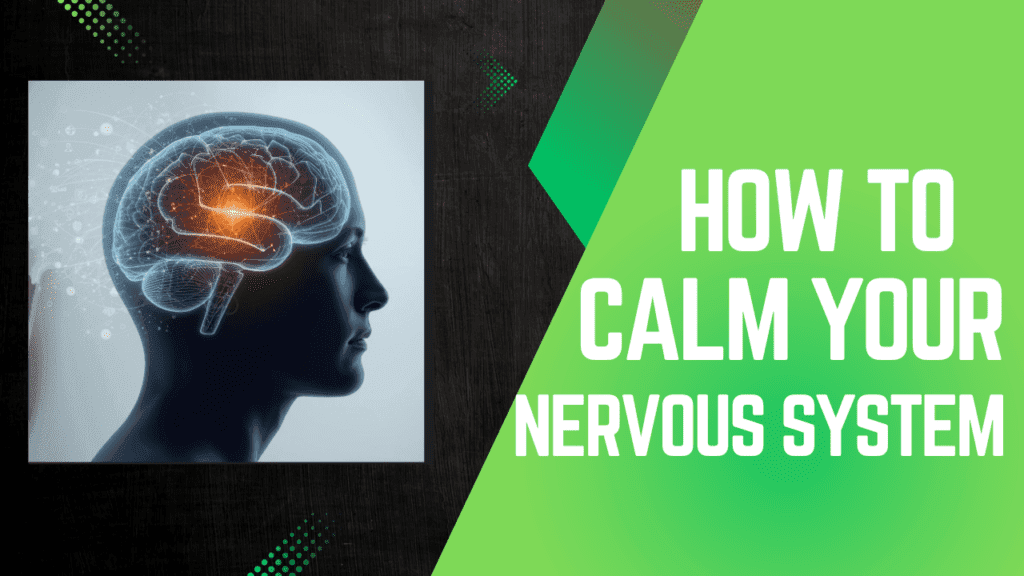 How to Increase Neuroplasticity by Calming the Nervous System