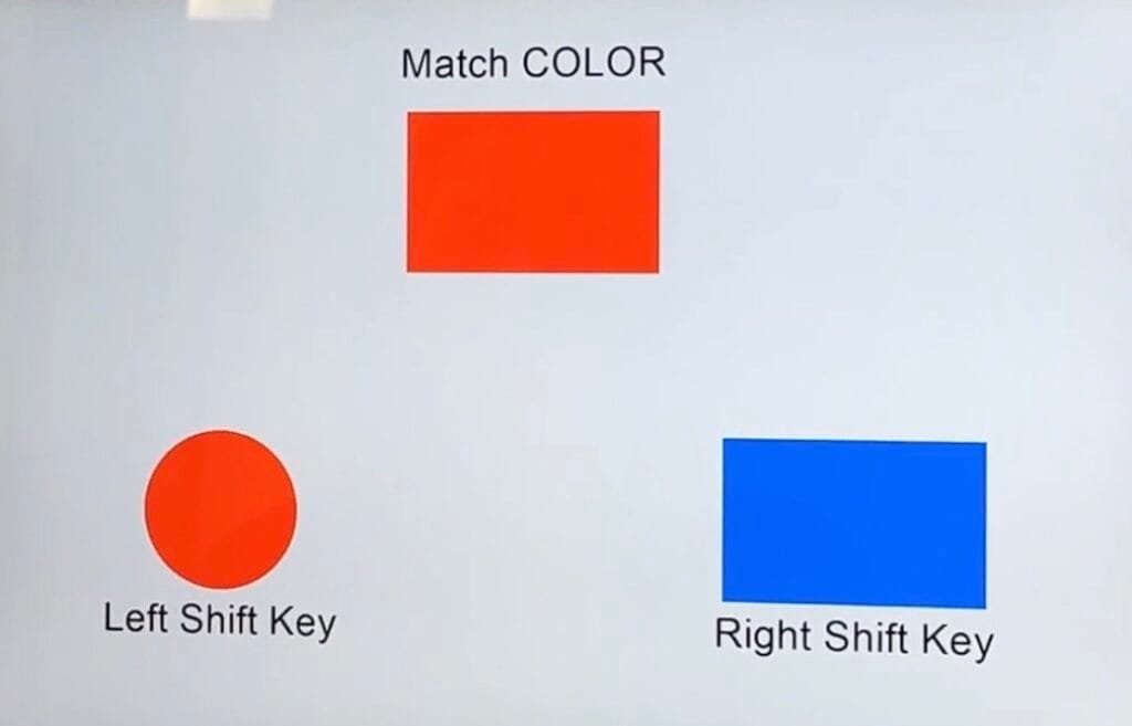 cognitive test example questions